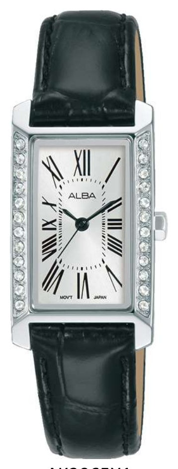 ALBA AK3065X1 Watch
