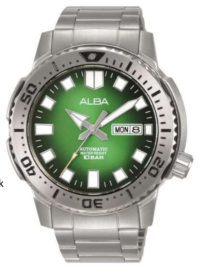 ALBA AL4631X1 Watch