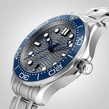 Omega Seamaster Diver 300M 42 mm, steel on steel