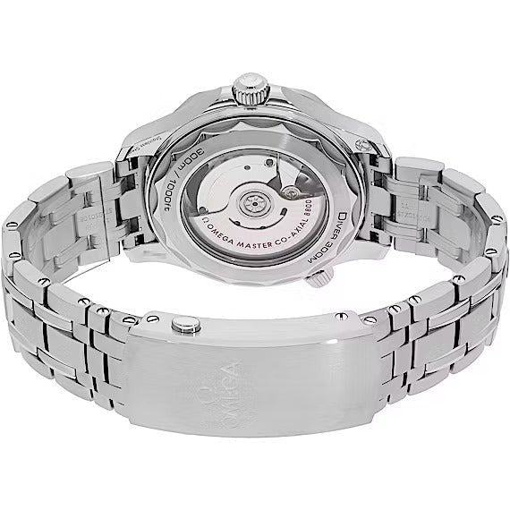 Omega Seamaster Diver 300M 42 mm, steel on steel