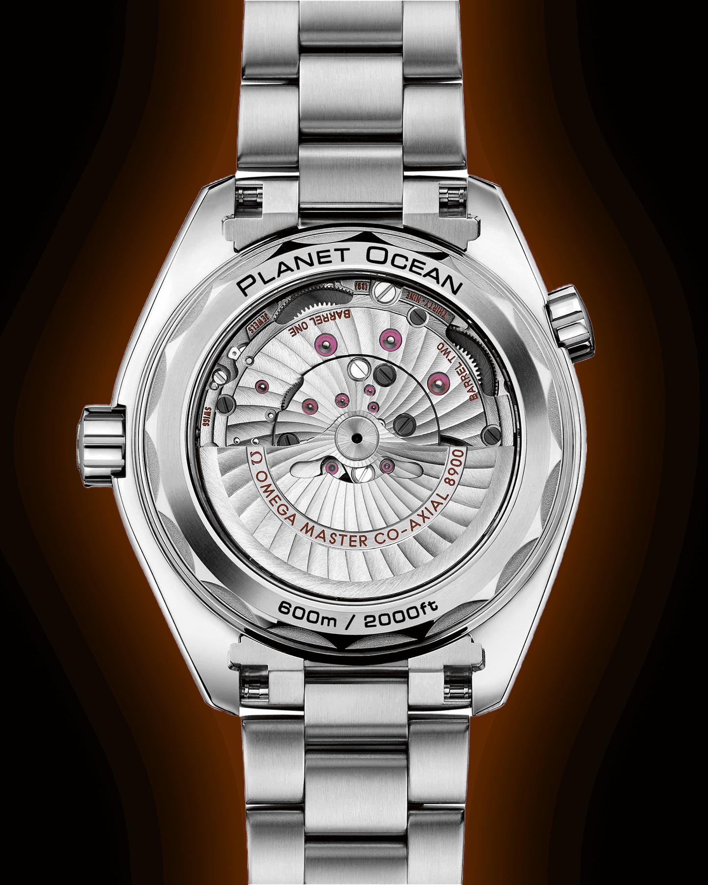 Omega Seamaster Planet Ocean 600M 43.5 mm titanium on titanium