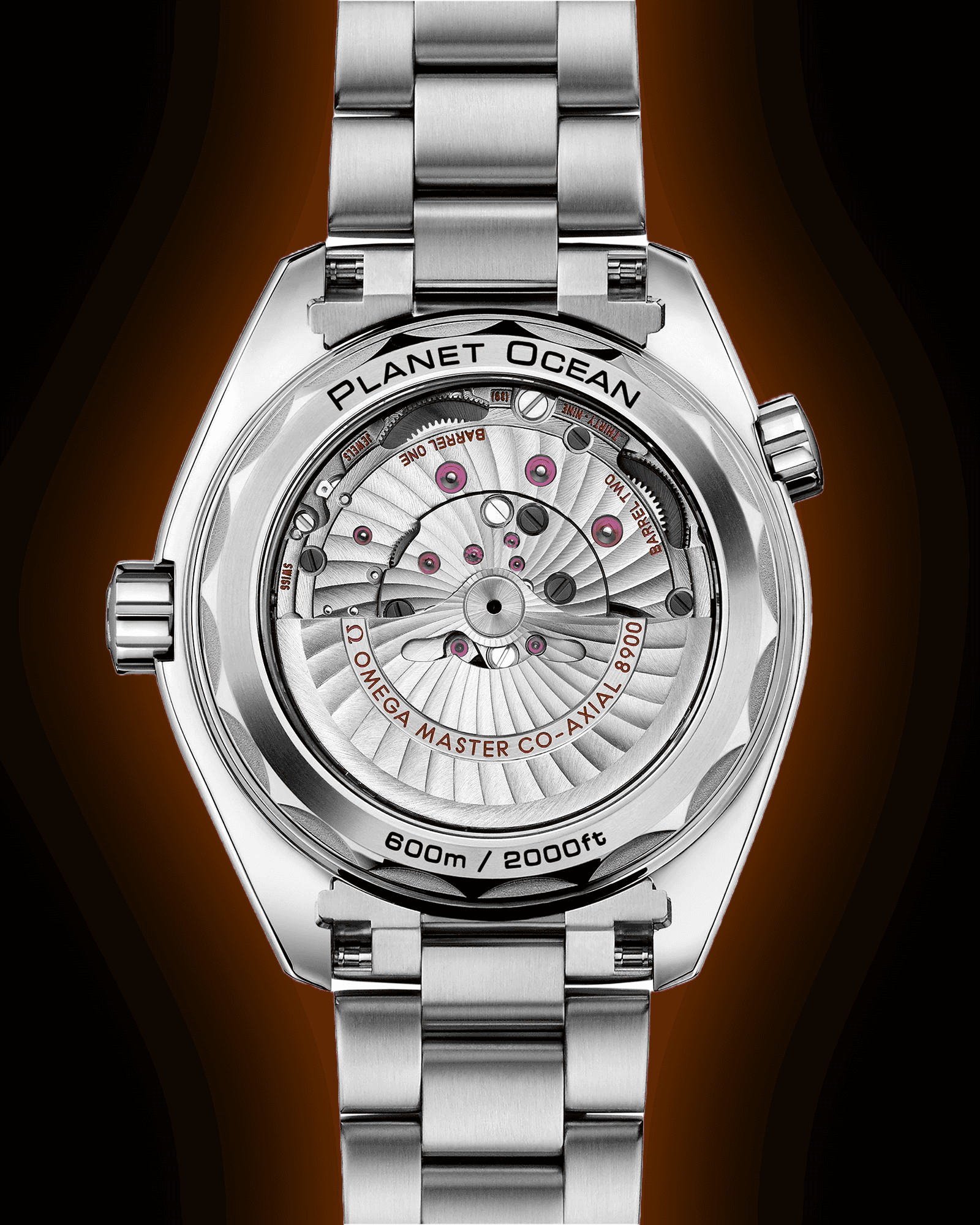 Omega Seamaster Planet Ocean 600M 43.5 mm titanium on titanium