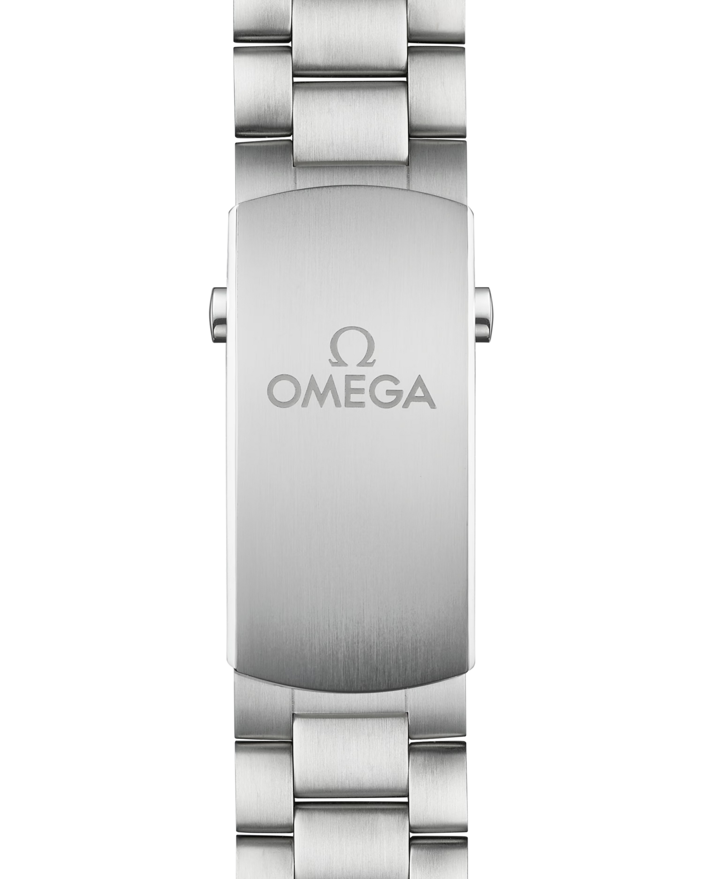 Seamaster Planet Ocean 600M 45.5 mm, steel on steel