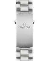 Seamaster Planet Ocean 600M 45.5 mm, steel on steel