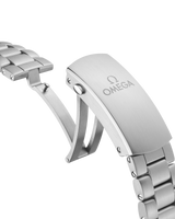 Seamaster Planet Ocean 600M 45.5 mm, steel on steel