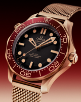 Omega Seamaster Diver 300M 42 mm, Bronze gold on Bronze gold